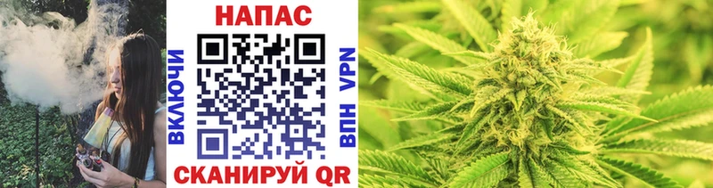 Каннабис OG Kush Щучье